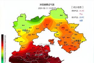 卡佩罗：哈兰德全场就一次机会 贝林厄姆很努力但没什么用